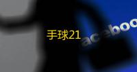 手球21